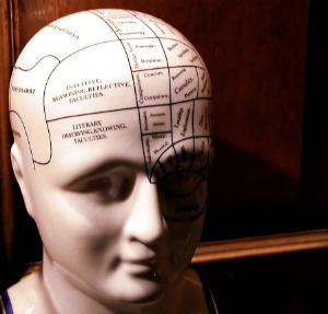 brain