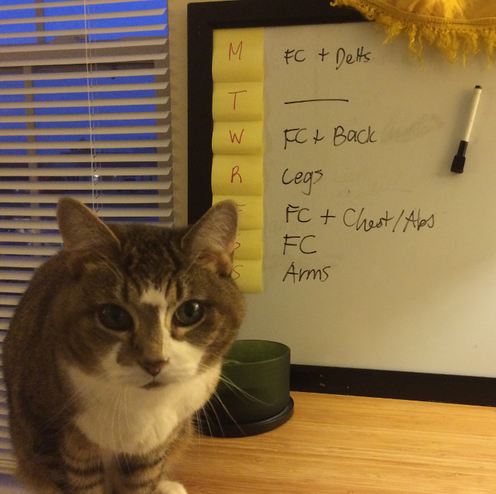 Whiteboard workout log
