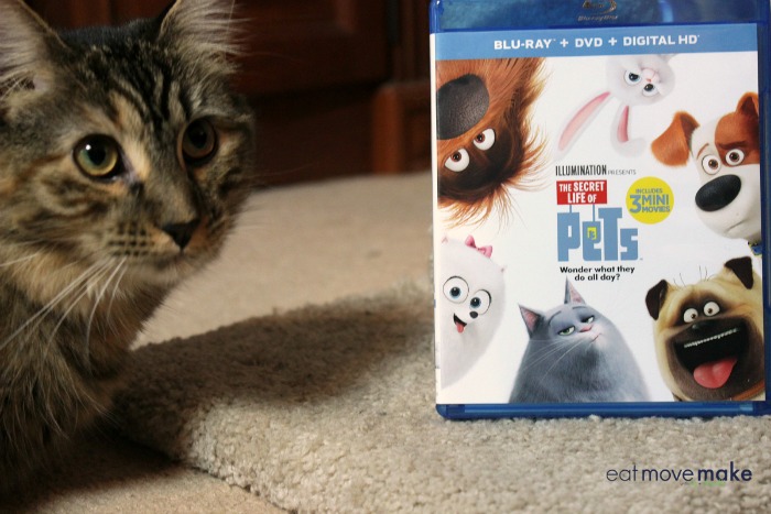 the-secret-life-of-pets-dvd