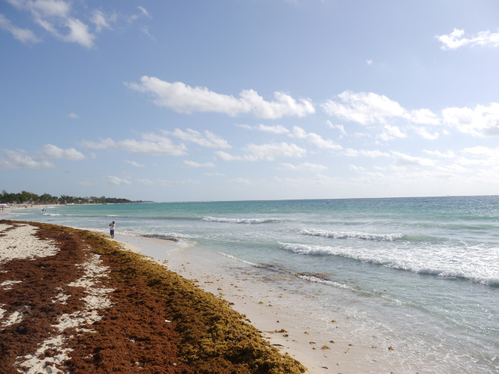 Playa del Carmen beach