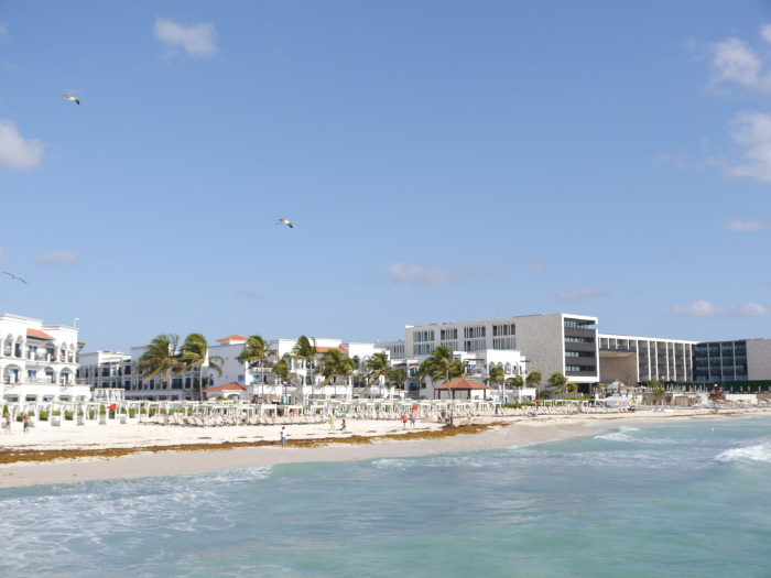 Playa del Carmen shore