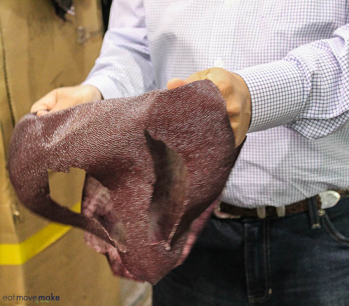 stingray skin