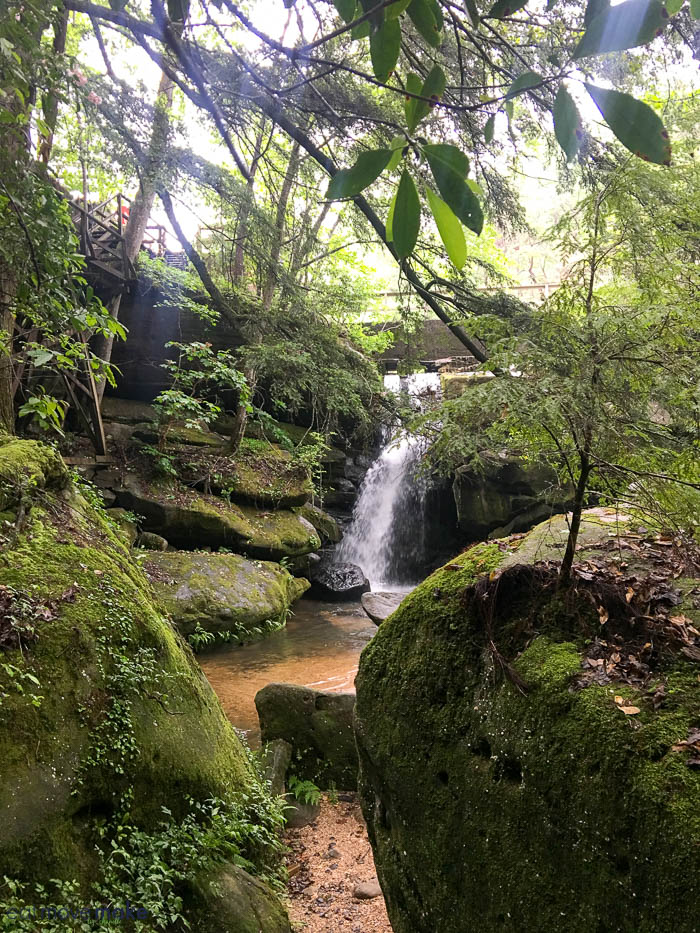 Dismals Canyon - Alabama's Mystical Glowing Forest