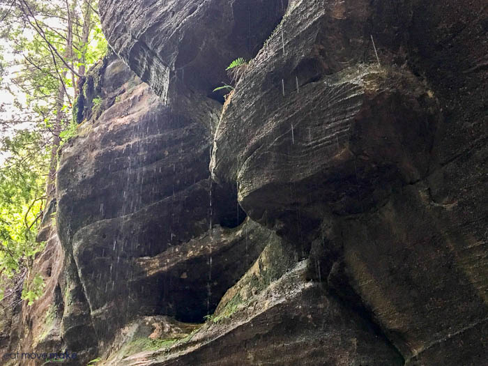 Weeping Bluff - Dismals Canyon