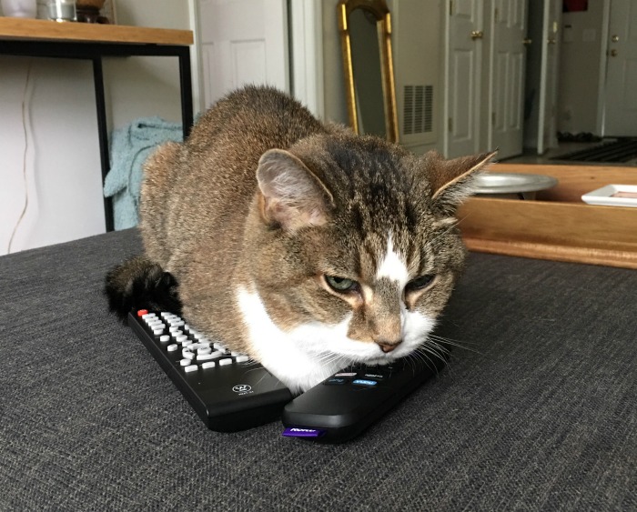 Deciding what to watch