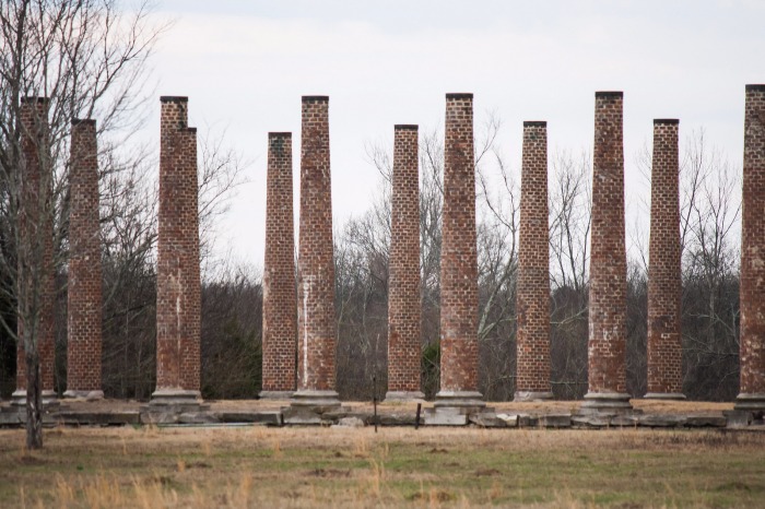Forks of Cypress