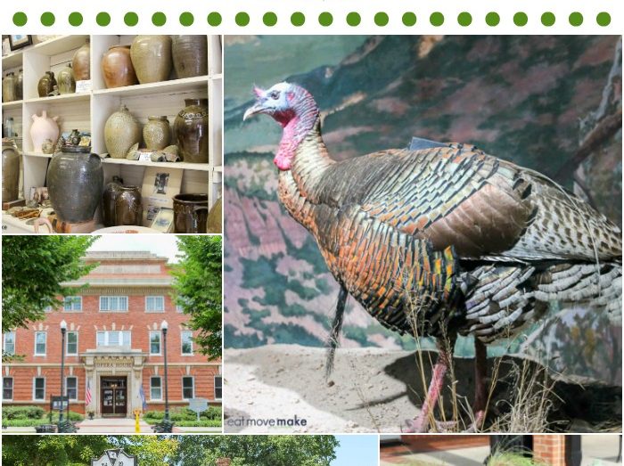 Travel Guide South Carolina's Old 96 District