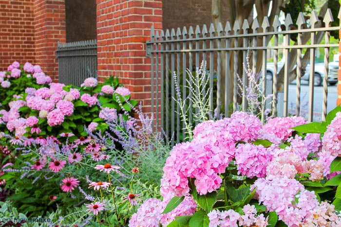 South Carolina Festival of Flowers - Greenwood, SC