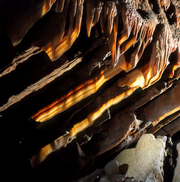 Cave bacon