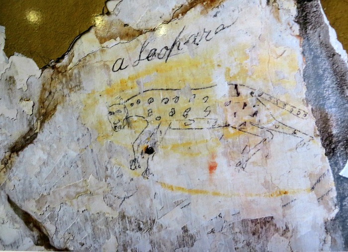 Leopard Graffiti - Shenandoah County Historic Courthouse