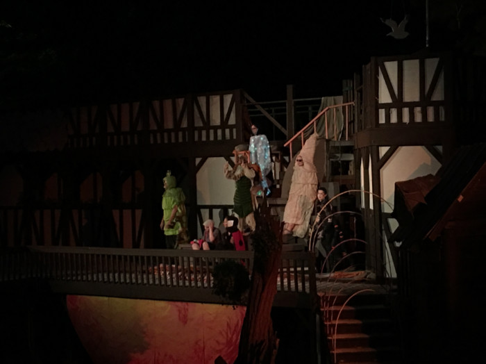 Montford Park Players James and the Giant Peach