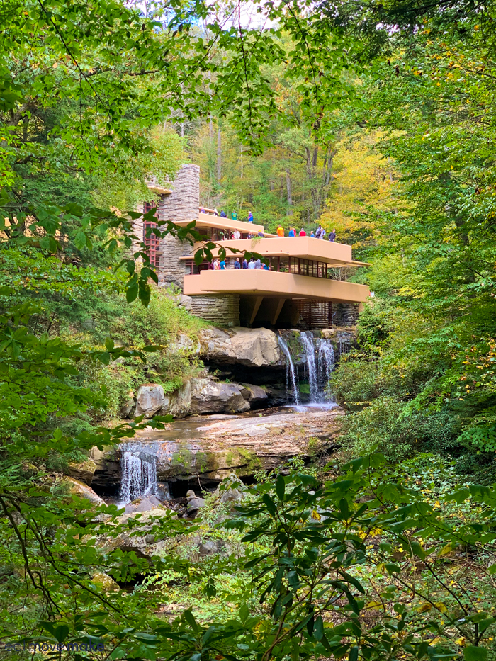 view of Fallingwater from trail