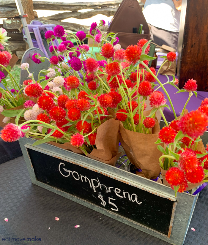 flowers (gomphrena) at Cobblestone Farmers Market in Winston Salem