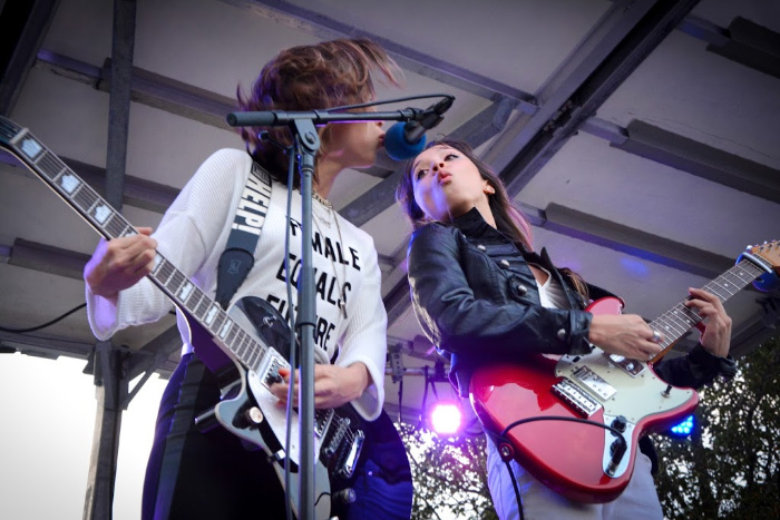 Ladybug Music Festival - Milford DE